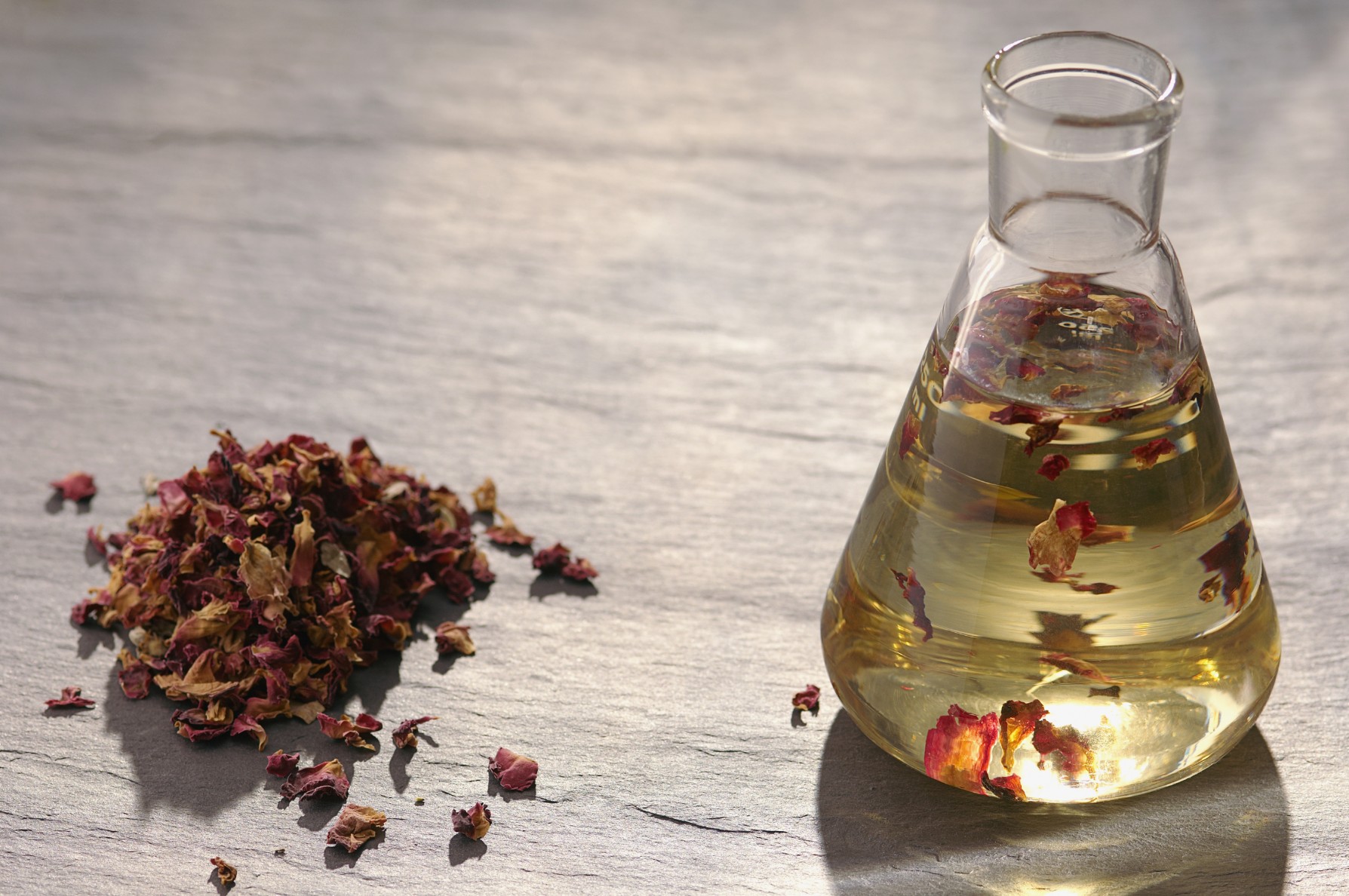 چگونه عرق بیدمشک را در خانه تهیه کنیم؟