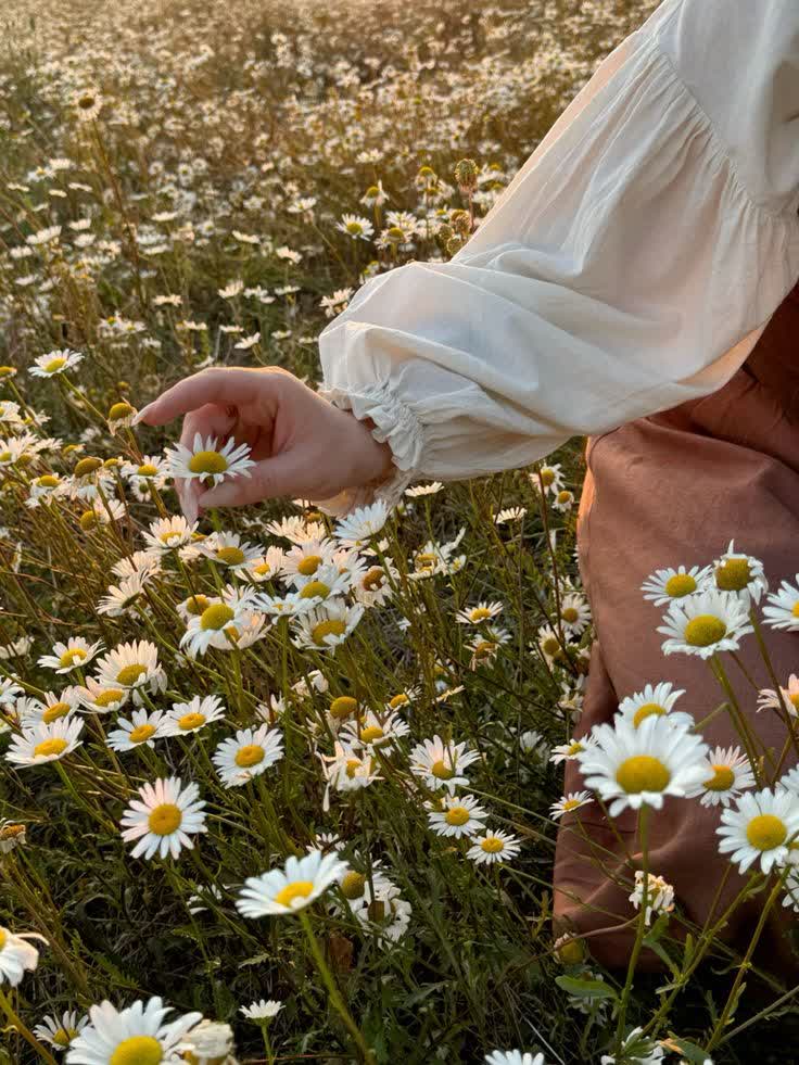 تاثیر نور و رطوبت بر خواص گیاهان دارویی