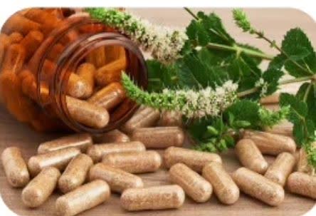 فرم‌های دارویی خوراکی گیاهی ایران: استانداردهای بین‌المللی