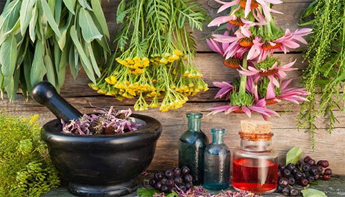 داروهای گیاهی برای بهبود گوارش و کاهش نفخ