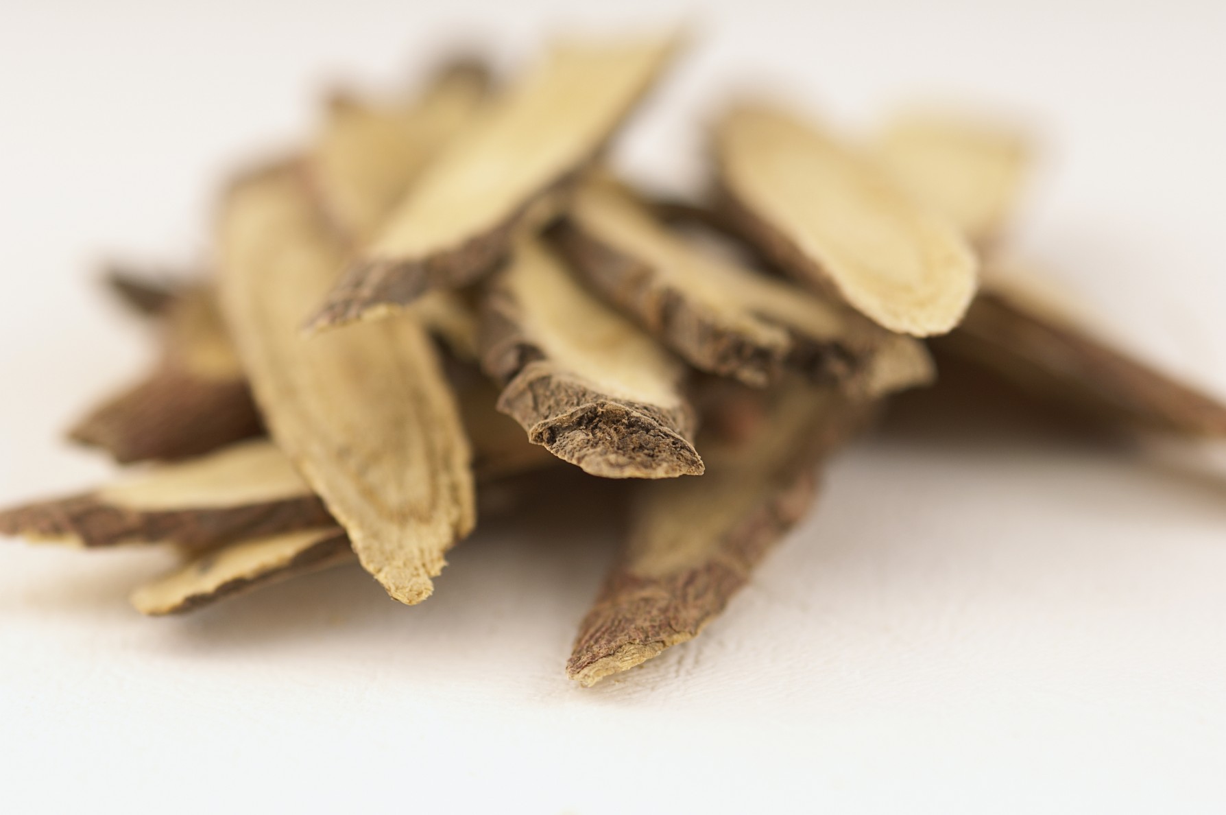 درمان دردهای مفصلی و آرتروز با گیاهان