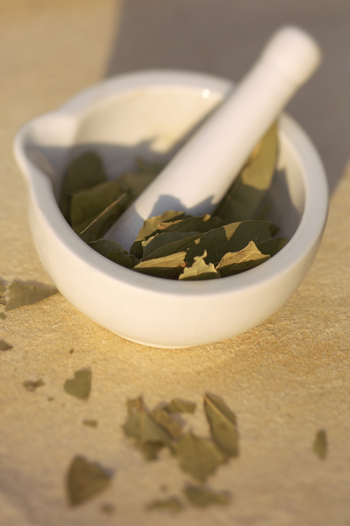 ضدعفونی‌کننده‌های طبیعی برای بهداشت