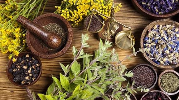 آشنایی با داروهای گیاهی سنتی ایران